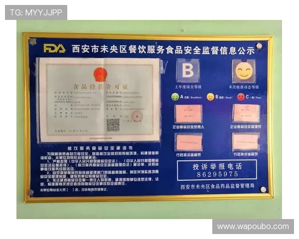 欧博aabbgg会员登录：安全登录保障用户信息安全的全面措施