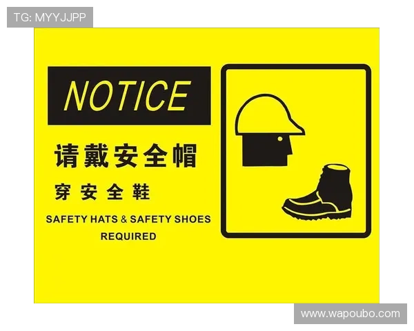 欧博会员登录官方入口安全验证流程，确保您的账户信息安全