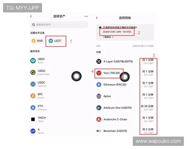 欧博平台官网支付方式与资金管理指南,便捷安全的充值提现操作流程 欧博平台官网支付方式与资金管理指南,便捷安全的充值提现操作流程