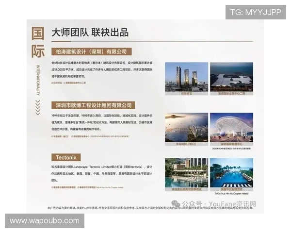 欧博会员登录网页打不开的原因分析与快速解决方法详解