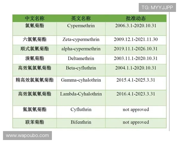 欧博abg代理一比一盈利模式详解,揭秘高效盈利的核心策略与操作技巧 欧博abg代理一比一盈利模式详解,揭秘高效盈利的核心策略与操作技巧