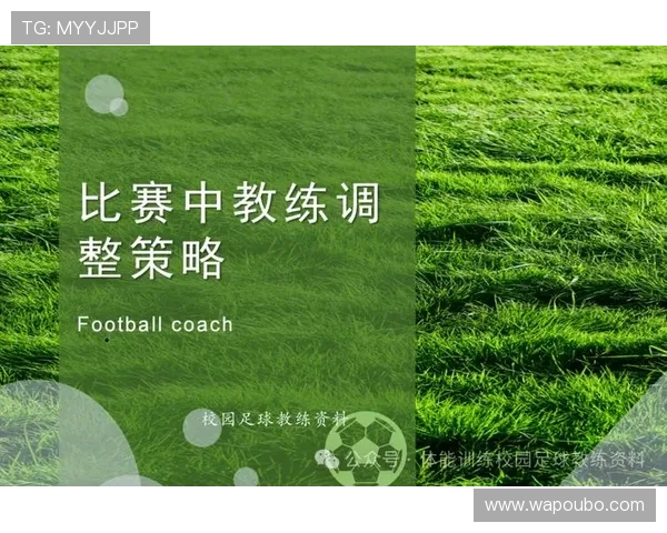 德国对科特迪瓦换人规则对球队战术调整和比赛节奏的影响分析 德国对科特迪瓦换人规则对球队战术调整和比赛节奏的影响分析